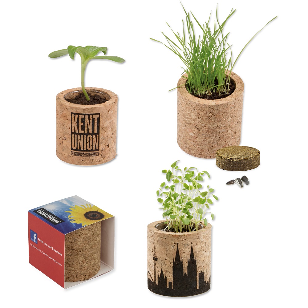 Cork plant set